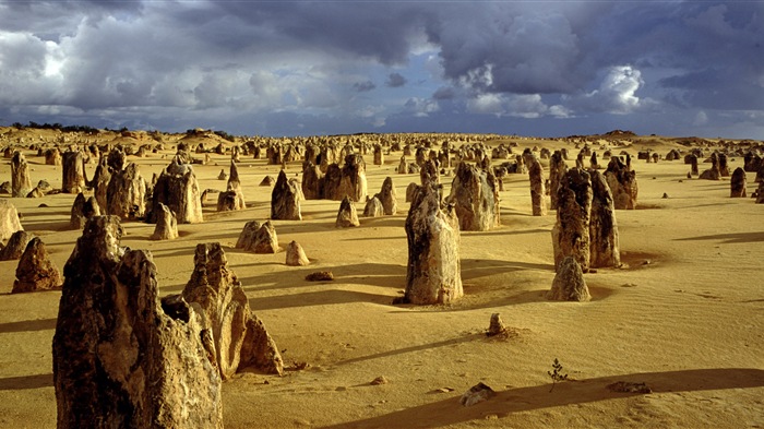 Les déserts chauds et arides, de Windows 8 fonds d'écran widescreen panoramique #13