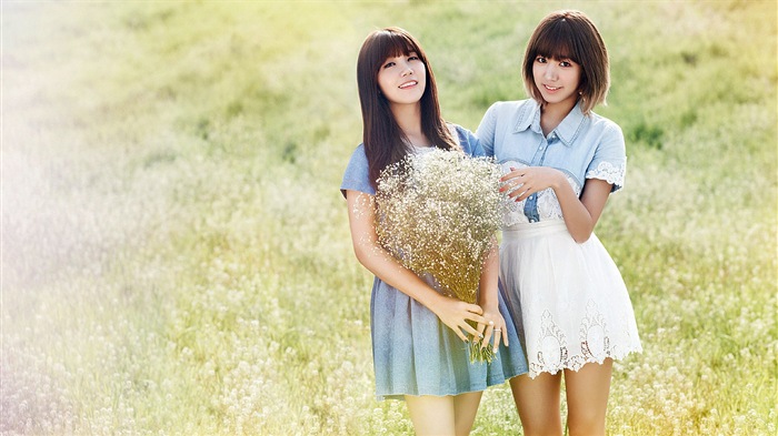 Korean music girl group, A Pink HD wallpapers #8