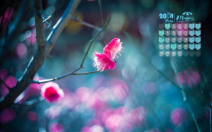 July 2014 calendar wallpaper (1) #17