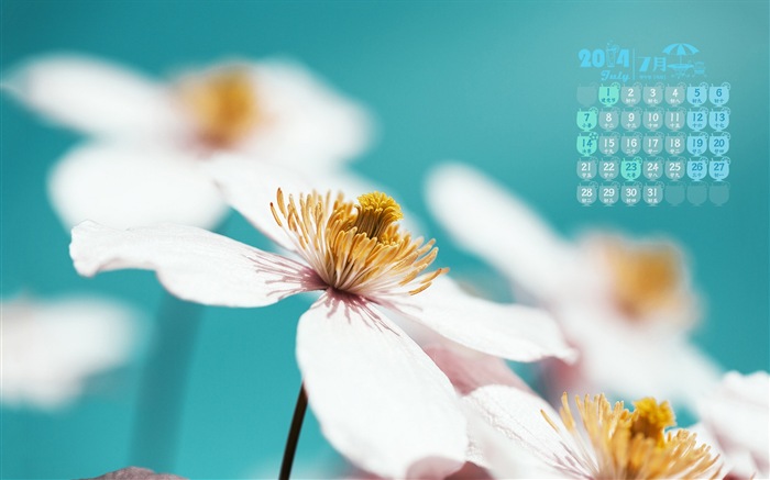 July 2014 calendar wallpaper (2) #18