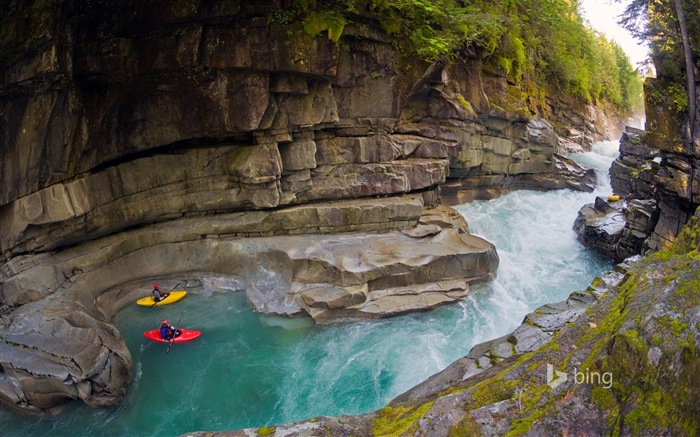 June 2014 Bing official wallpaper selection #5