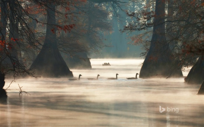 Juin 2014 la sélection de fond d'écran officiel de Bing #15