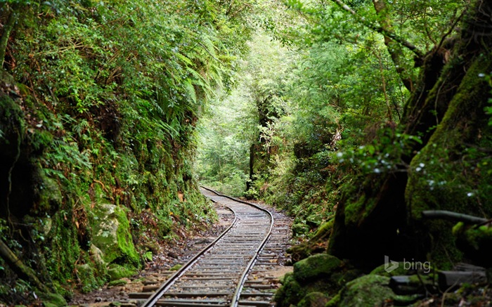 June 2014 Bing official wallpaper selection #24