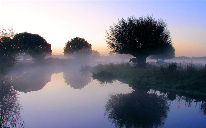 Misty morning scenery, Windows 8 theme wallpaper #4