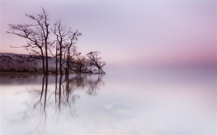 Paysage brumeux matin, Windows 8 écran thème #6