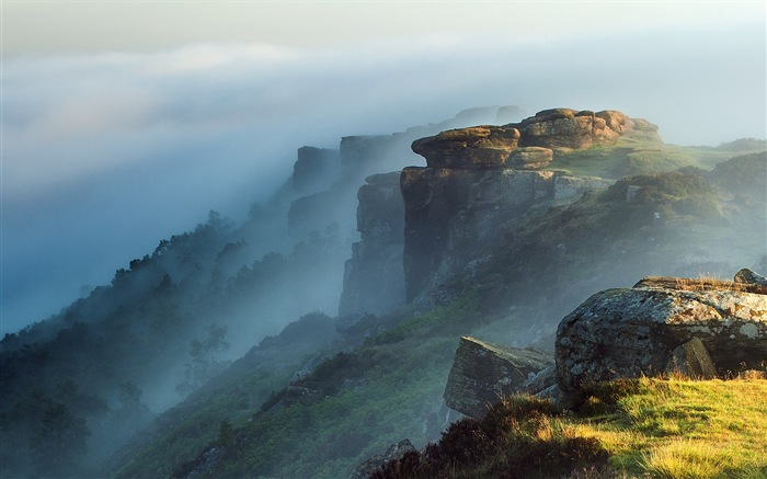 Misty morning scenery, Windows 8 theme wallpaper #12