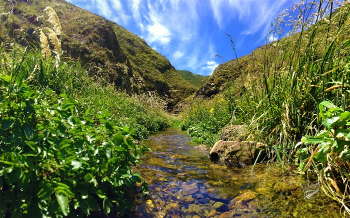 뉴질랜드의 아름다운 풍경, 윈도우 8 테마 배경 화면 #8
