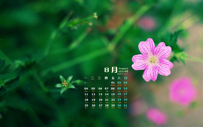 August 2014 calendar wallpaper (1) #10