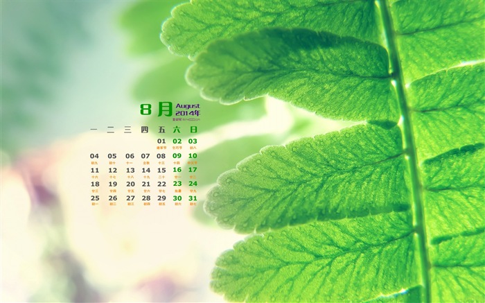 August 2014 calendar wallpaper (1) #14