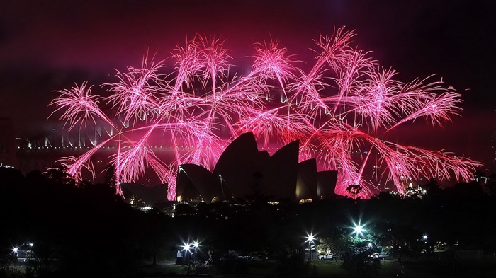 Die Schönheit des Nachthimmels, Feuerwerk schöne Hintergrundbilder #8