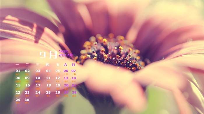 2014年9月 月曆壁紙(一) #16