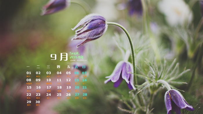 September 2014 Calendar wallpaper (1) #17