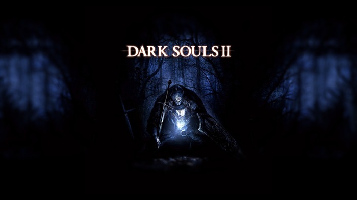 Dark Souls 2 暗黑靈魂2 遊戲高清壁紙 #13