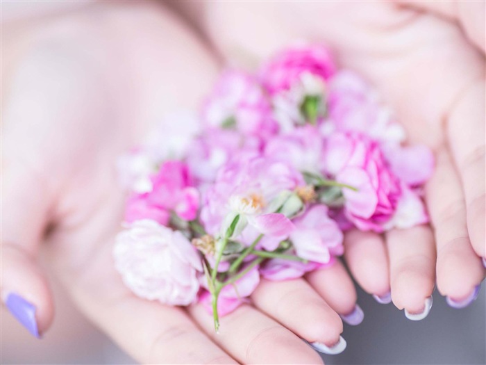 Hermosa chica con fondos de pantalla de alta definición de flores rosas #10