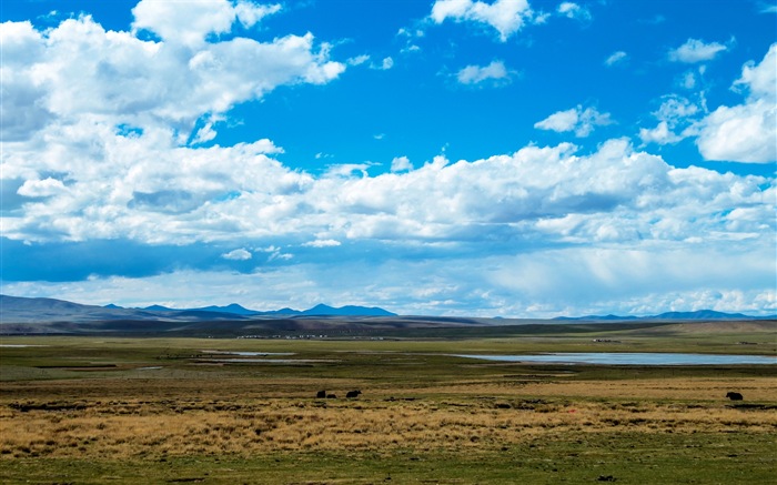 Qinghai Plateau krásné scenérie tapety #18