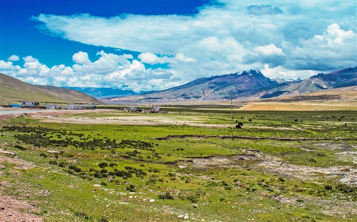 Qinghai Meseta hermoso fondo de pantalla paisajes #20