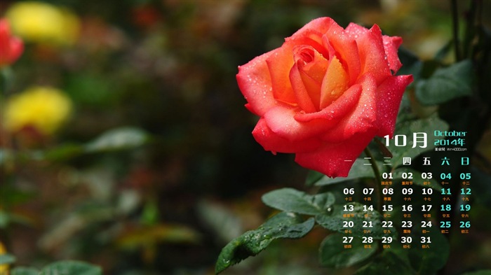 October 2014 Calendar wallpaper (1) #12