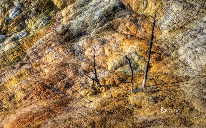 Oktober 2014 Bing Landschaft HD Wallpaper #17
