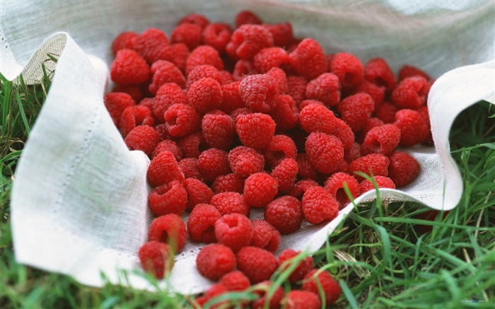 Sweet red raspberry HD wallpapers #3