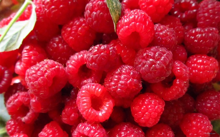Sweet red raspberry HD wallpapers #4