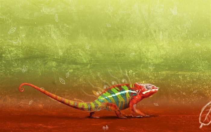 Barevné zvířat chameleon HD tapety na plochu #5