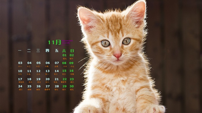 November 2014 Kalender Tapete (1) #5