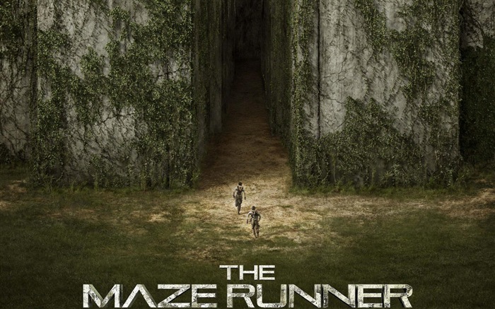 The Maze Runner 移动迷宫 高清电影壁纸5