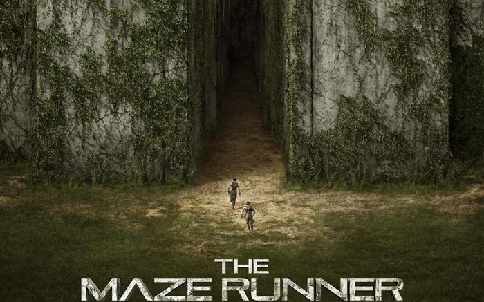 The Maze Runner HD movie wallpapers #5