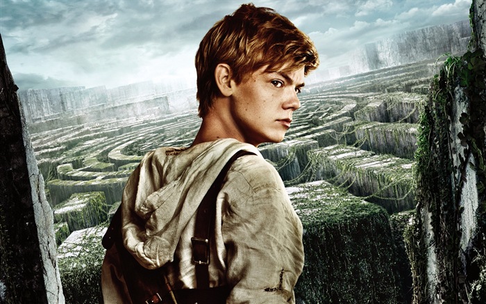 The Maze Runner 移動迷宮 高清電影壁紙 #8