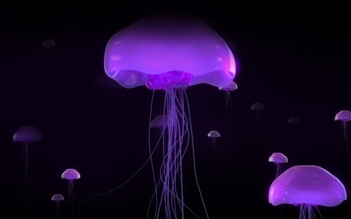 Windows 8 theme wallpaper, jellyfish #27