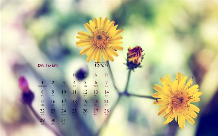 December 2014 Calendar wallpaper (1) #10