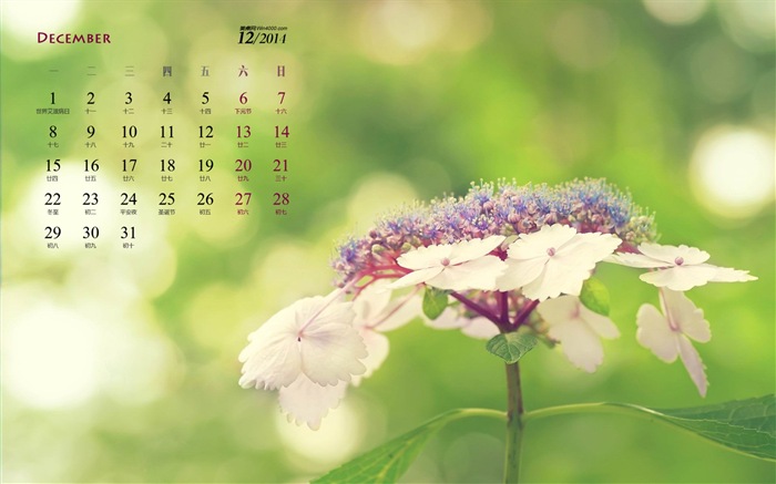 2014년 12월 캘린더 벽지 (1) #12