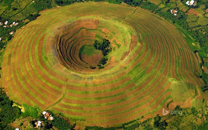 Novembre 2014 Bing paysage wallpapers #4