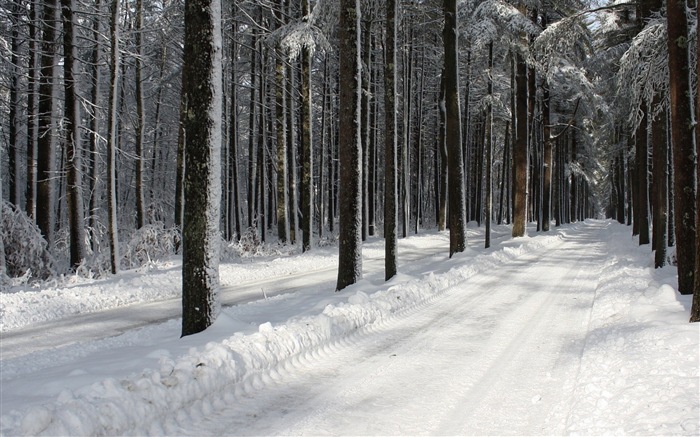 冬天的雪景，山，湖，樹木，道路高清壁紙 #3