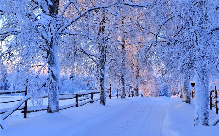 Invierno, nieve, montañas, lagos, árboles, fondos de pantalla de alta definición carreteras #4