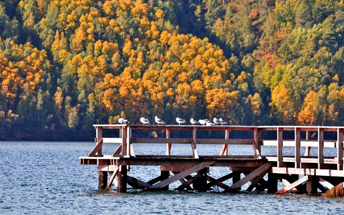 Lac Baïkal en Russie, fonds d'écran paysages HD #7