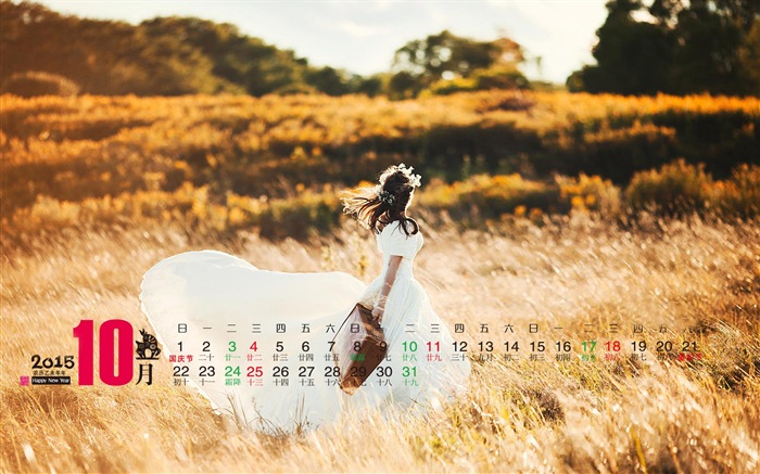 Calendar 2015 HD wallpapers #3