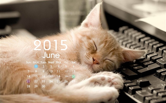 Calendario 2015 fondos de pantalla de alta definición #19