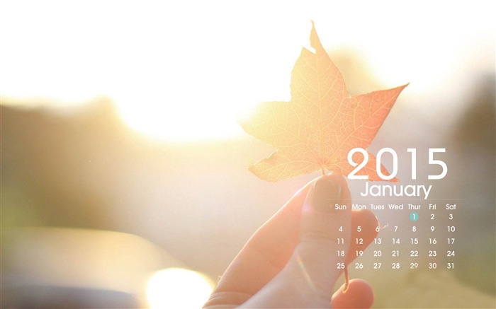 Kalendář 2015 HD tapety na plochu #23