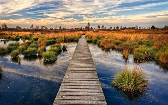 Lake a Boardwalk výhled soumraku HD tapety na plochu #1