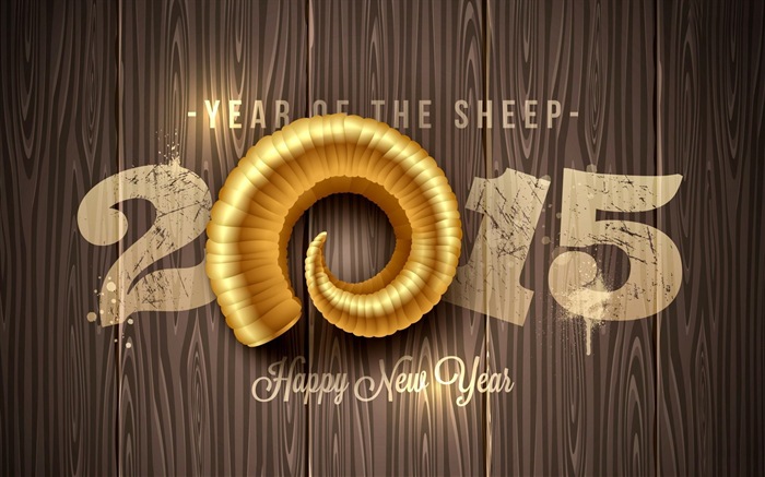 2015 New Year theme HD wallpapers (2) #16