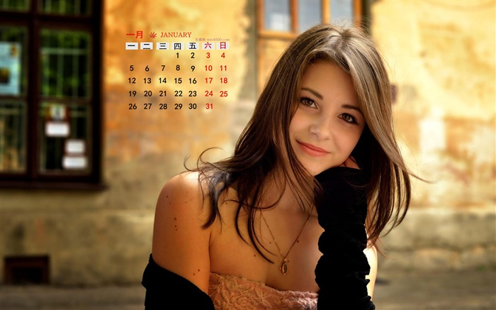 Janvier 2015 calendar fond d'écran (1) #5