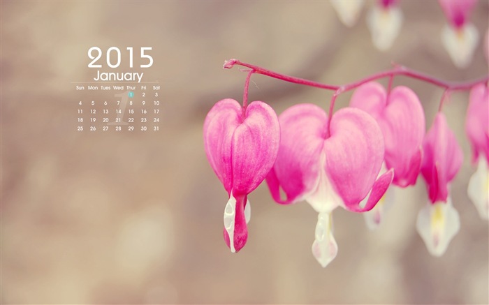 Janvier 2015 calendar fond d'écran (1) #9