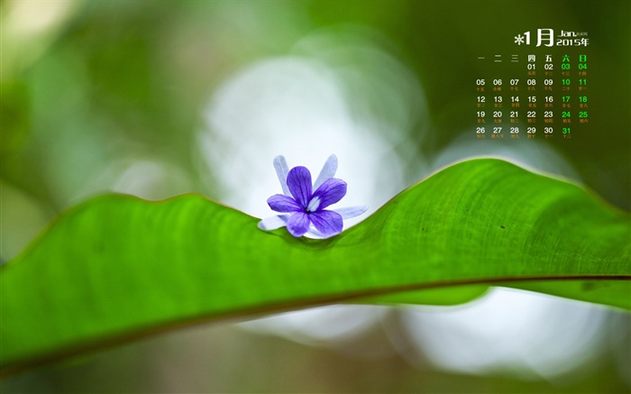 January 2015 calendar wallpaper (1) #18