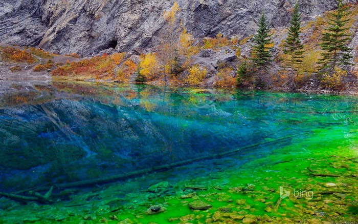 Décembre 2014 fonds d'écran HD Bing #8