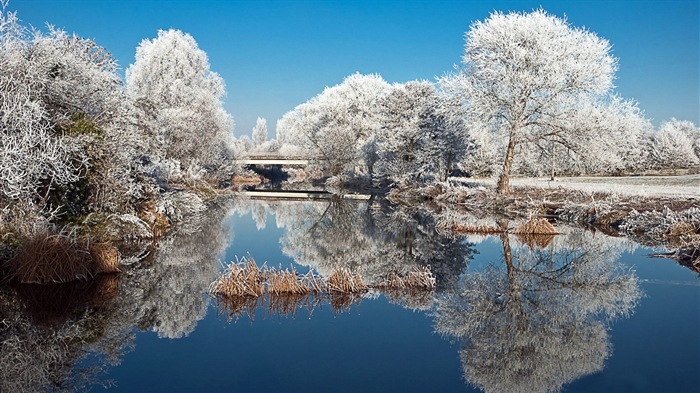 Winter Schnee-schöne Landschaft HD Wallpaper #2