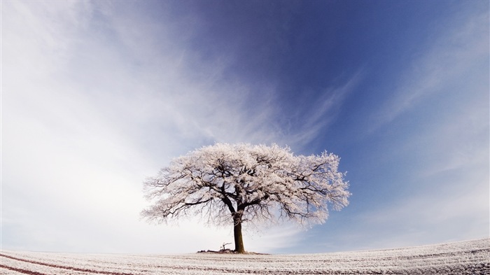 Neige d'hiver fonds d'écran HD magnifique de paysages #4