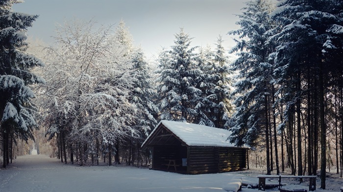 겨울 눈 아름다운 풍경의 HD 월페이퍼 #12