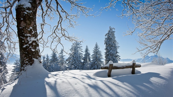 Winter snow beautiful scenery HD wallpapers #13