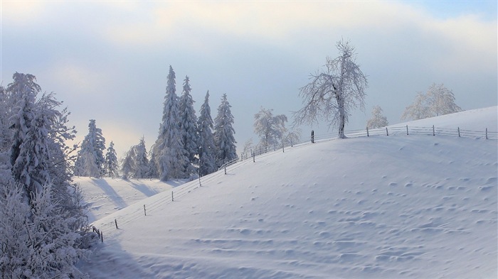 Neige d'hiver fonds d'écran HD magnifique de paysages #16